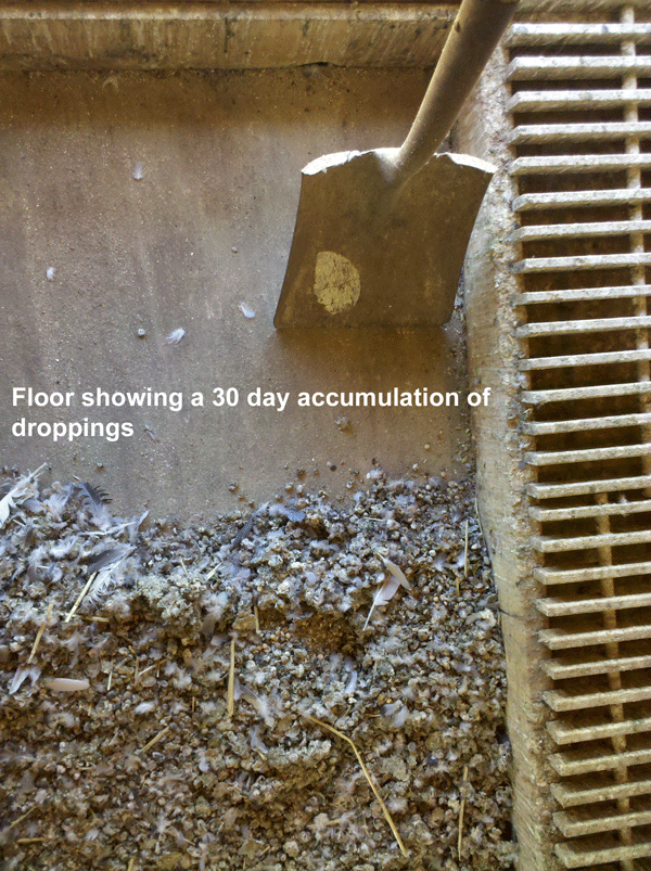 30-day-accumulated-dropping-600 30-day-accumulated-dropping-600